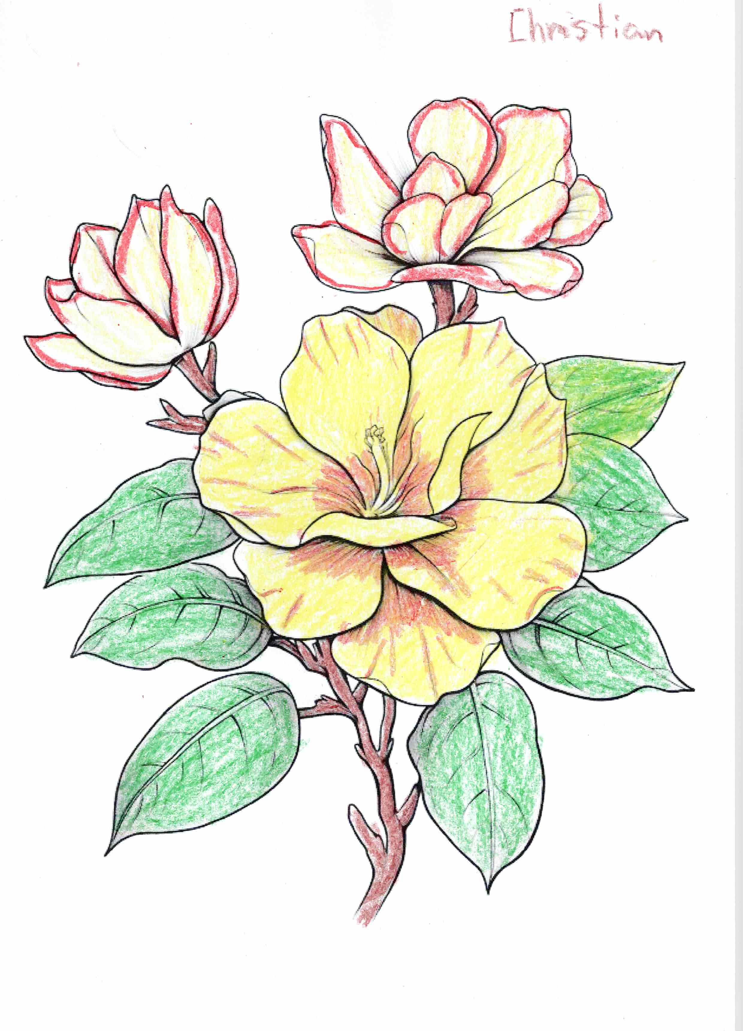 Artwork by Christian